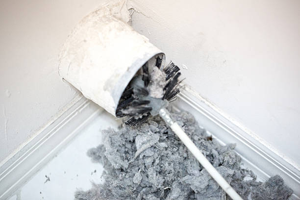 Best Dryer Vent Cleaning Services  in Perry Hall, MD